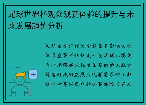 足球世界杯观众观赛体验的提升与未来发展趋势分析